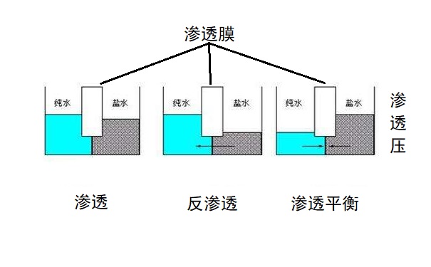 反滲透系統